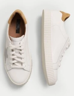 Lace Up Leather Star Trainers -M&S SD 01 T02 8930T Z4 X EC 1